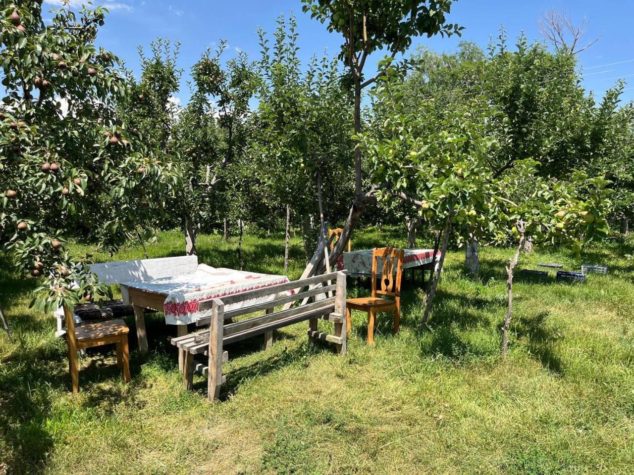 "Bilim" Guest House Tamchy Luaran gambar