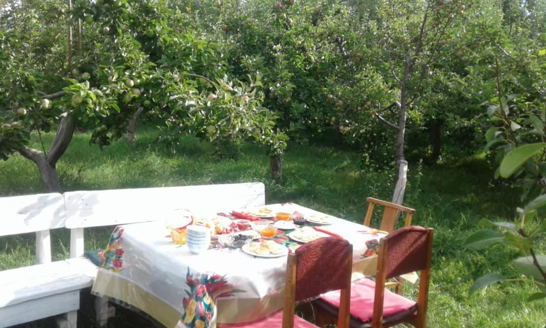 "Bilim" Guest House Tamchy Luaran gambar